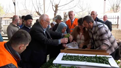 Atakumlu çiftçiye 100 bin sebze fidesi