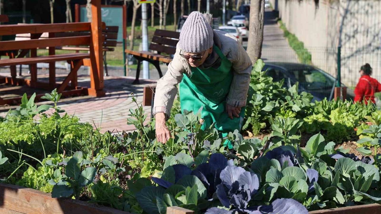 Ataşehir Kent Bostanları’nda yeni dönem heyecanı başlıyor