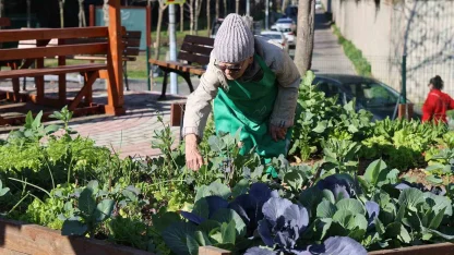Ataşehir Kent Bostanları’nda yeni dönem heyecanı başlıyor