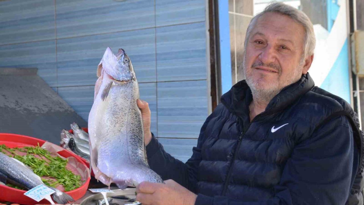 Av sezonu bitse de tezgahlar balıksız kalmıyor