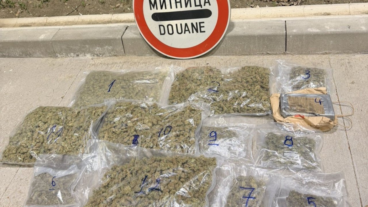 Avokado ve mango arasına gizlenen uyuşturucular yakalandı