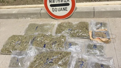 Avokado ve mango arasına gizlenen uyuşturucular yakalandı