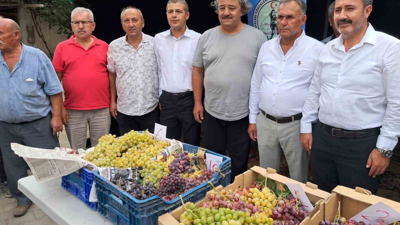 Avşar Üzümü coğrafi işaretle tescillendi
