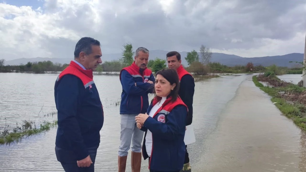 Aydın’da sular altında kalan arazilerde kesin zarar tespiti yapıldı