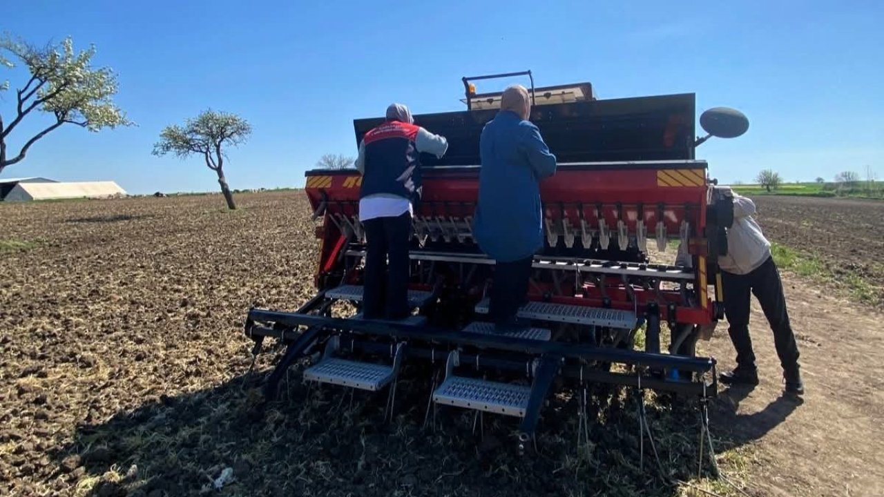 Babaeski’de aspir tohumu toprakla buluştu