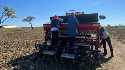 Babaeski’de aspir tohumu toprakla buluştu