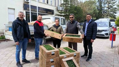 Babaeski’de üreticiye 2 bin kırmızı domates fidesi verildi