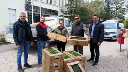 Babaeski’de üreticiye 2 bin kırmızı domates fidesi verildi