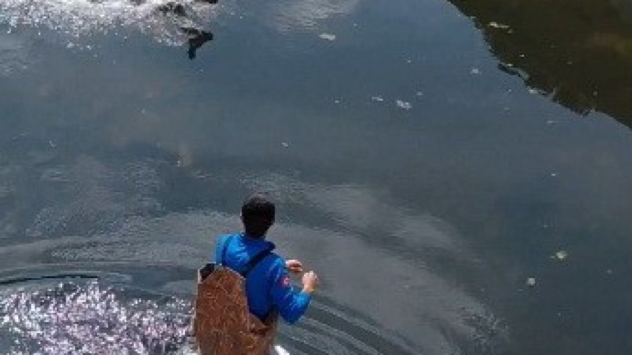 Bafra’da kanala düşen karaca kurtarıldı