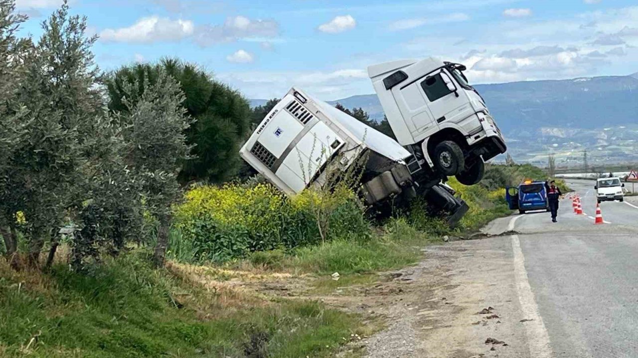 Bağa giren tır şaha kalktı