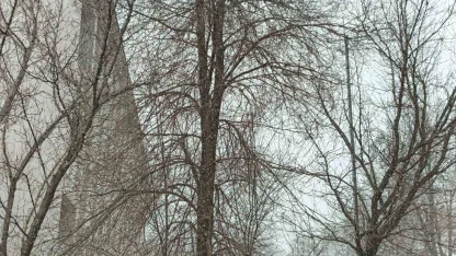 Bahar gelmeden kış geri döndü; Diyadin’e kar sürprizi