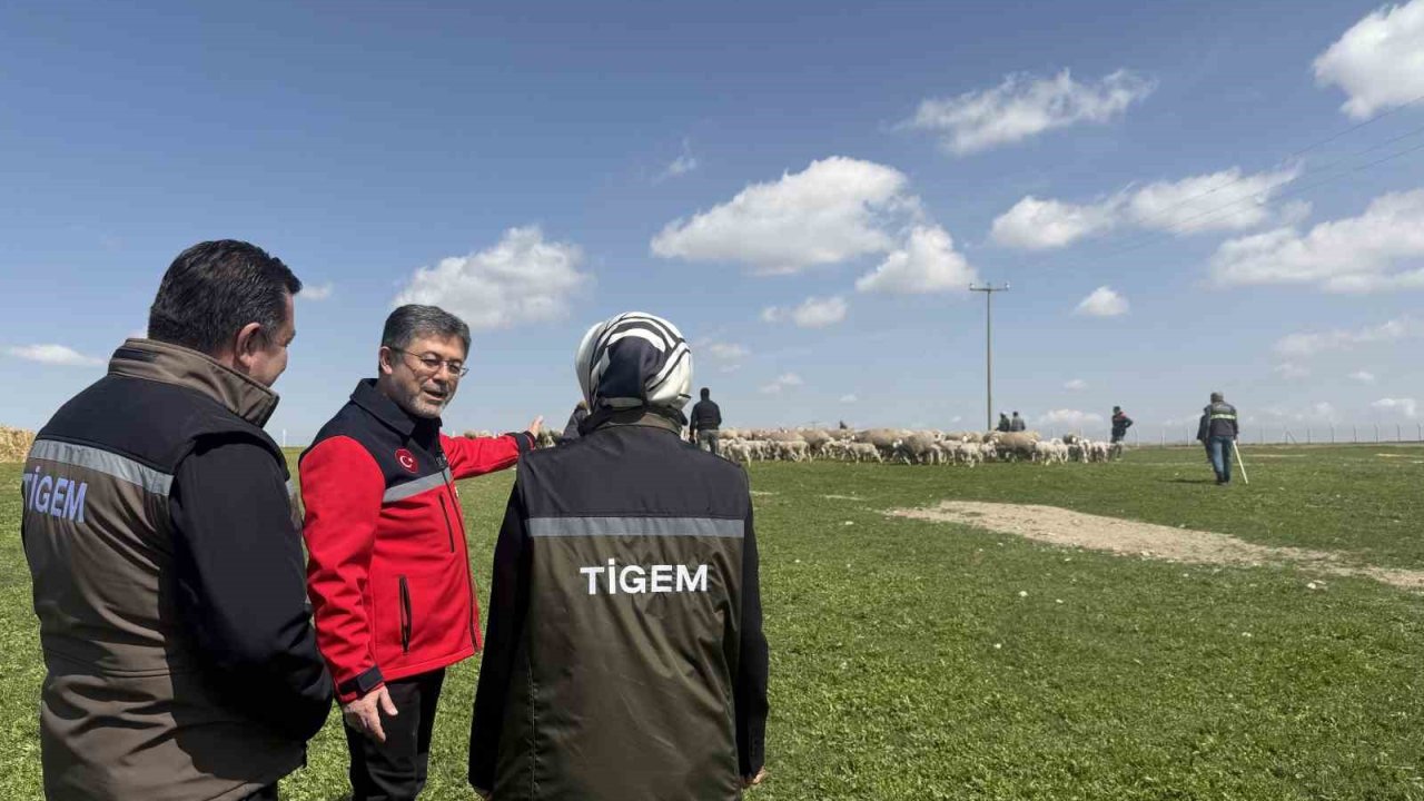 Bakan Yumaklı: (Kırsalda Bereket Küçükbaşa Destek Projesi) "En iyi ırkın oluşturulması için çalışılmış sürülerden verilecek"