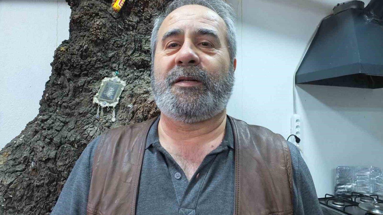Balıkesir’de 1620 tarihi meşeye özel koruma