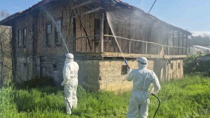 Bartın’da kahverengi kokarca kış uykusunda yok edilecek