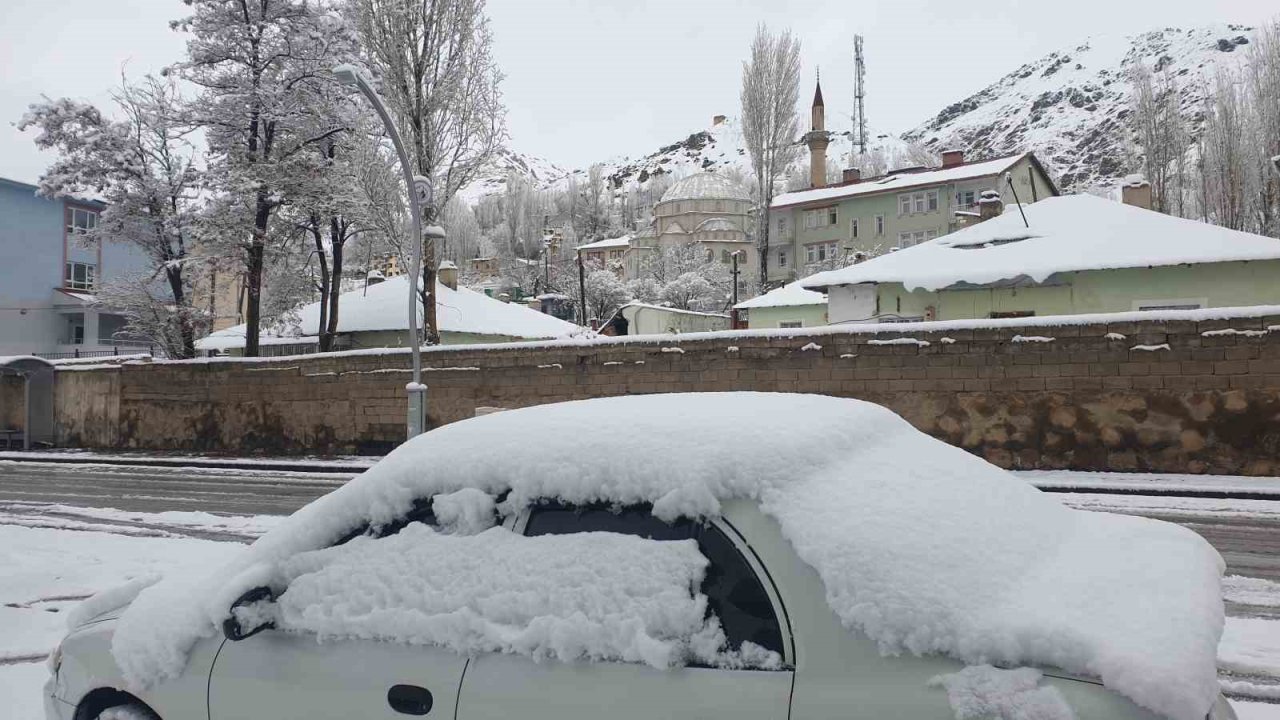 Başkale’de nisan ayında kar yağışı