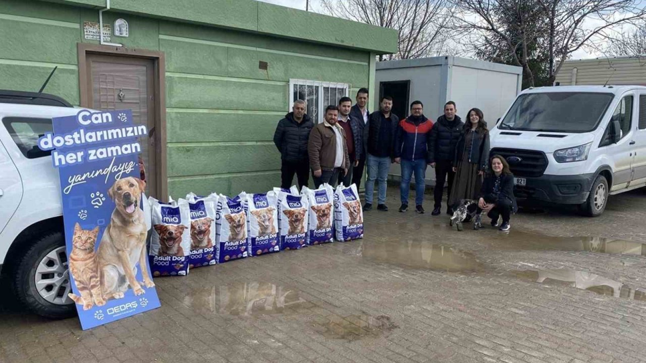 Beş yılda beş ilde 30 tonun üzerinde mama bağışı yapıldı