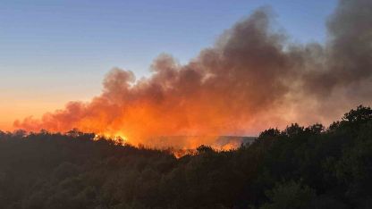 Beykoz’da 3 hektarlık alan küle döndü: Yangına müdahale devam ediyor