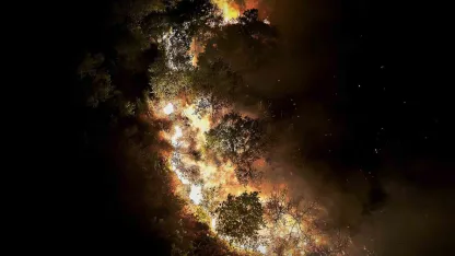 Beykoz’daki orman yangını 9 saatte kontrol alındı