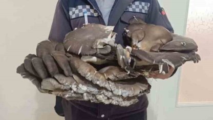 Beyşehir’de doğada bulduğu 10 kiloluk mantar şaşırttı