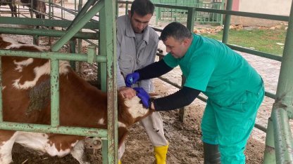 Beyşehir’de hayvan sağlığını koruma çalışmaları