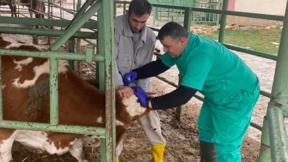 Beyşehir’de hayvan sağlığını koruma çalışmaları