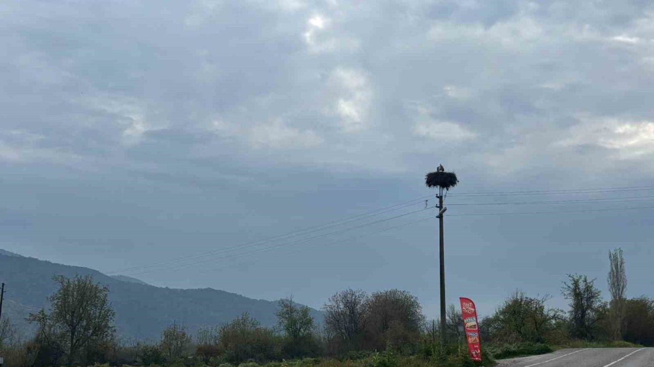 Bozdoğan’da baharın müjdecisi leylekler yuvalarına döndü
