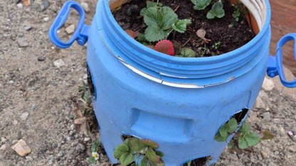 Buldanlı üreticiler atık malzemeleri tarımda değerlendiriyor