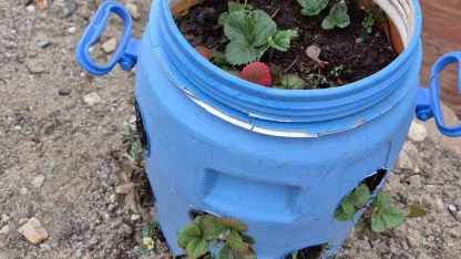 Buldanlı üreticiler atık malzemeleri tarımda değerlendiriyor