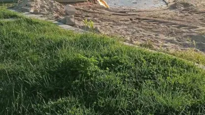 Burhaniye’de denize akan pis sular tepkiye neden oldu