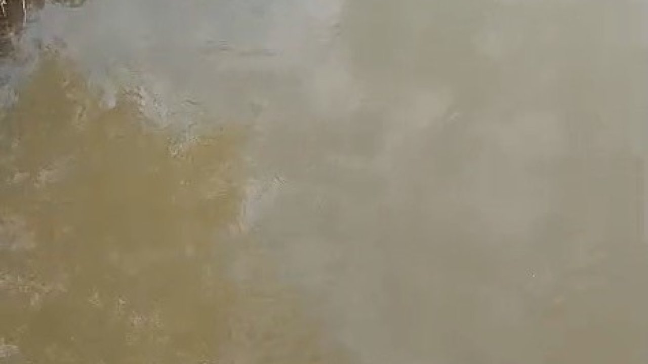 Bursa’da deredeki su samuru şaşırttı