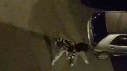 Bursa’da sokak ortasında boks ringlerini aratmayan kavga kamerada