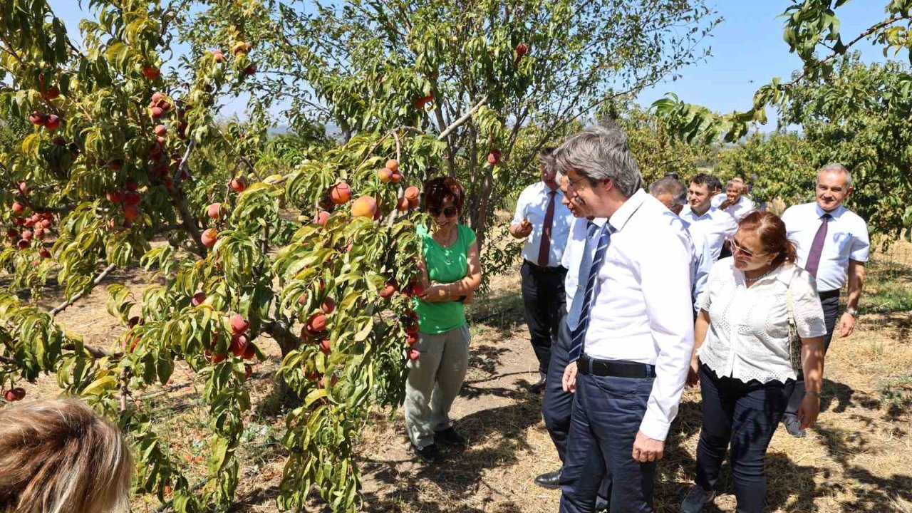 BUÜ, ziraat ve ormancılık alanında dünyada ilk 500’de