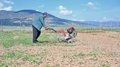 Büyükşehir ipek böceği yetiştiriciliğini yaygınlaştırıyor