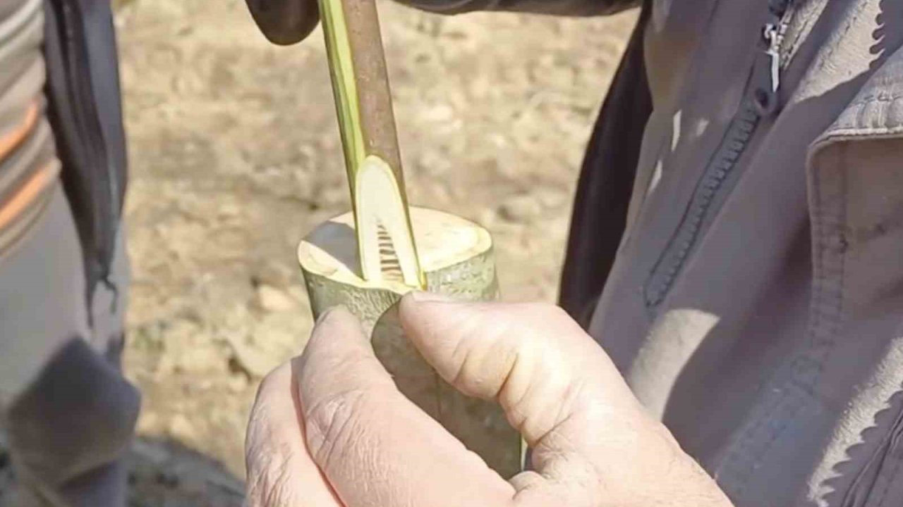 Çanakkale’de ‘Aşı Akademisi’