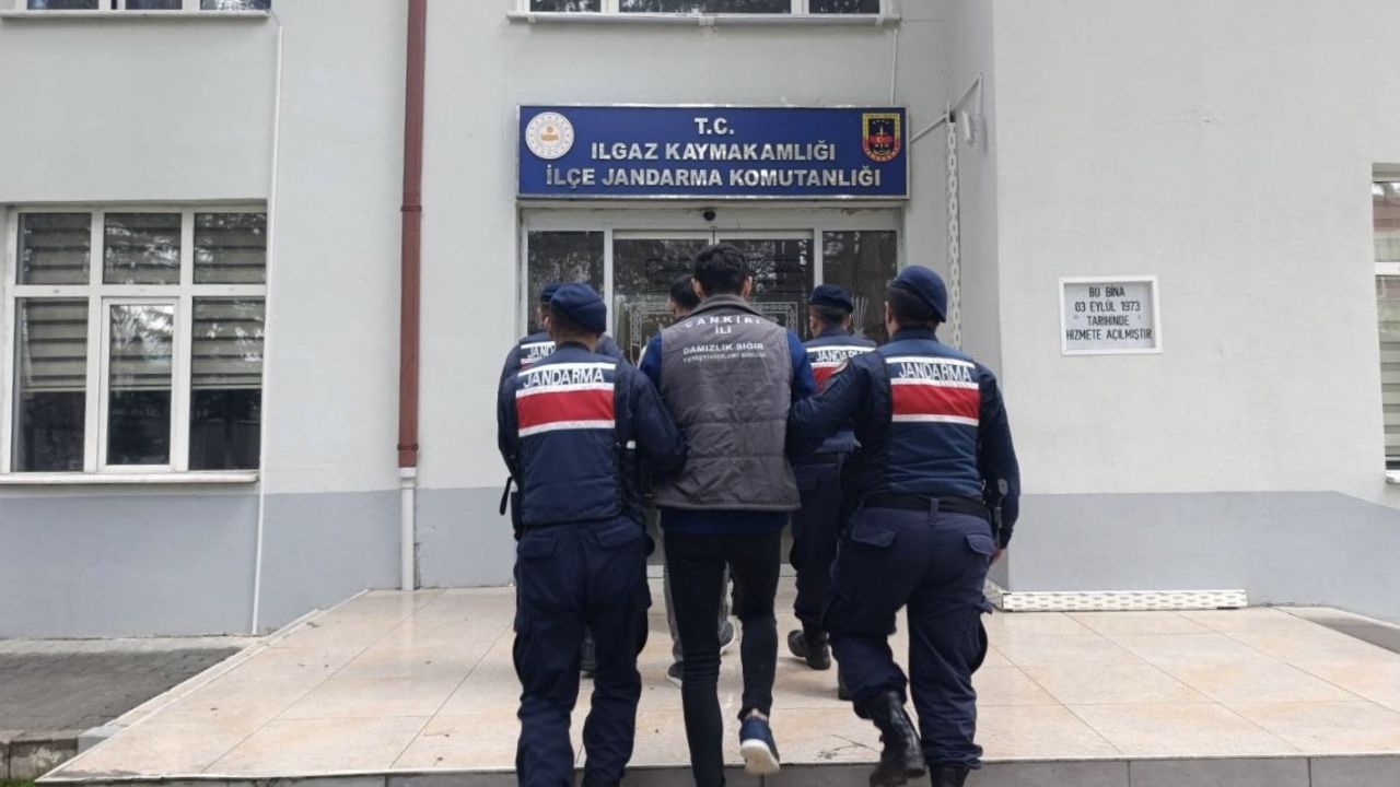 Çankırı’da büyükbaş hayvan çalan şahıslar tutuklandı