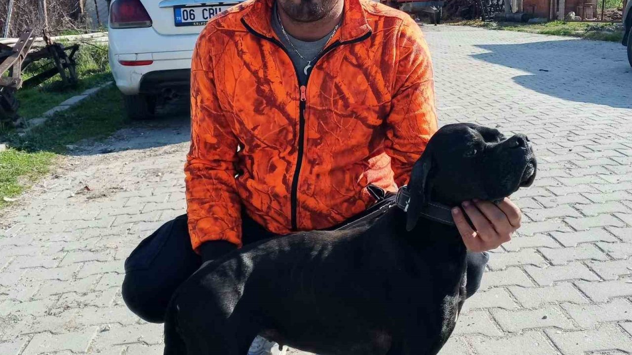 Çiğli’de arıtma tesisindeki çamur çukuruna araçla düşen işçi hayatını kaybetti