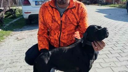 Çiğli’de arıtma tesisindeki çamur çukuruna araçla düşen işçi hayatını kaybetti