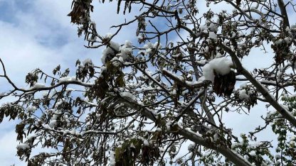 Çorum için zirai don uyarısı