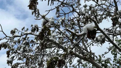 Çorum için zirai don uyarısı