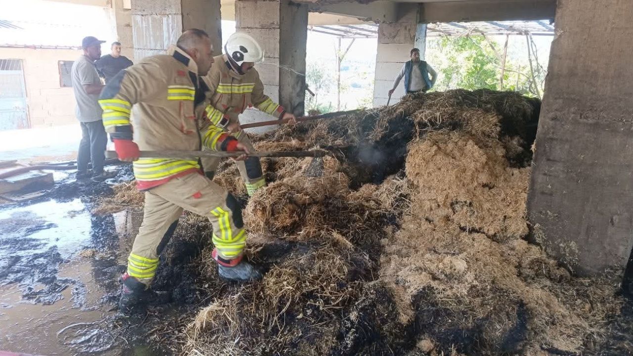 Defne’de samanlık yangını