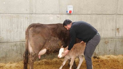 Devlet desteği ile kurduğu akıllı ahır projesiyle verimliliği artırdı