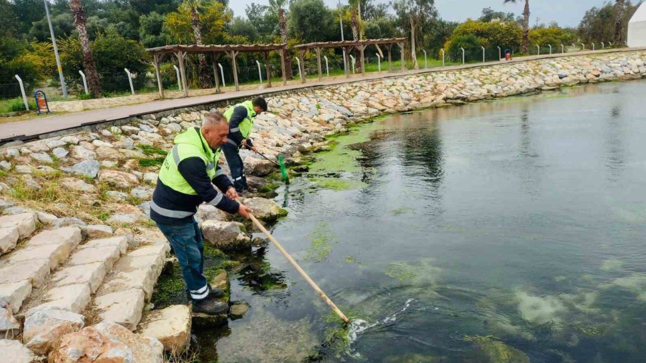 Didim’de temizlik ve düzenleme çalışmaları sürüyor