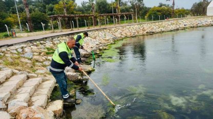 Didim’de temizlik ve düzenleme çalışmaları sürüyor