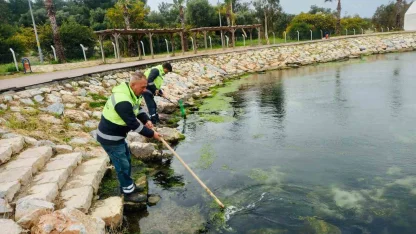 Didim’de temizlik ve düzenleme çalışmaları sürüyor