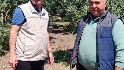 Didim’de zeytin üreticilerine zararlı uyarısı