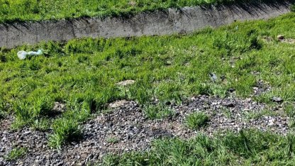 Diyarbakır’da trafik kazası: 1’i ağır 4 yaralı