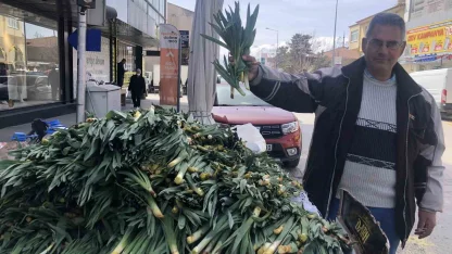 Doğal antibiyotik çiriş otu Erzincan tezgahlarında yerini aldı