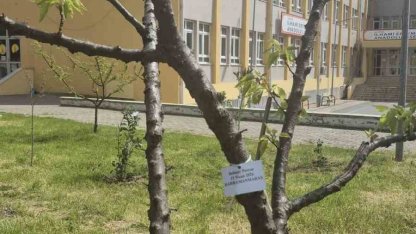 Edirne İlhami Ertem Anadolu Lisesi öğrencilerinden anlamlı etkinlik