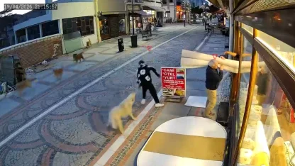 Edirne’de başıboş köpek saldırısı: 19 yaşındaki genç yaralandı