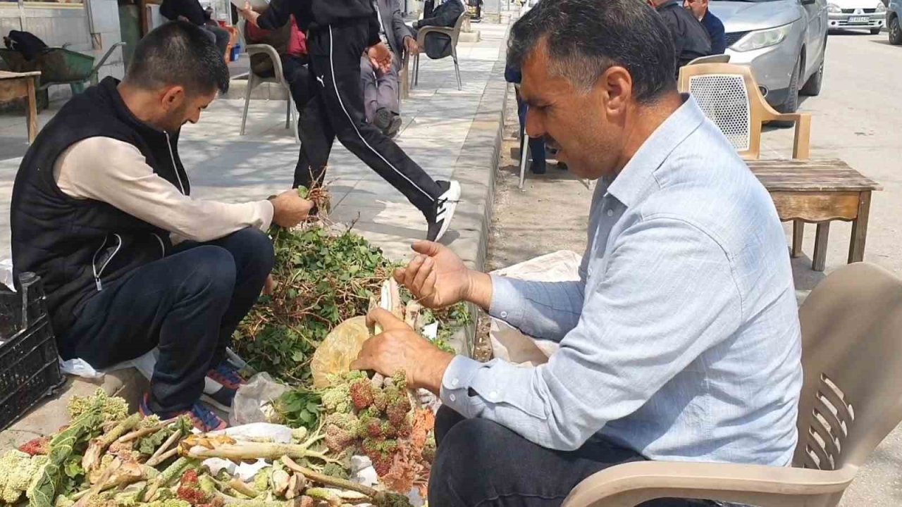 Elazığ’da bahar otları tezgahlarda yerini aldı